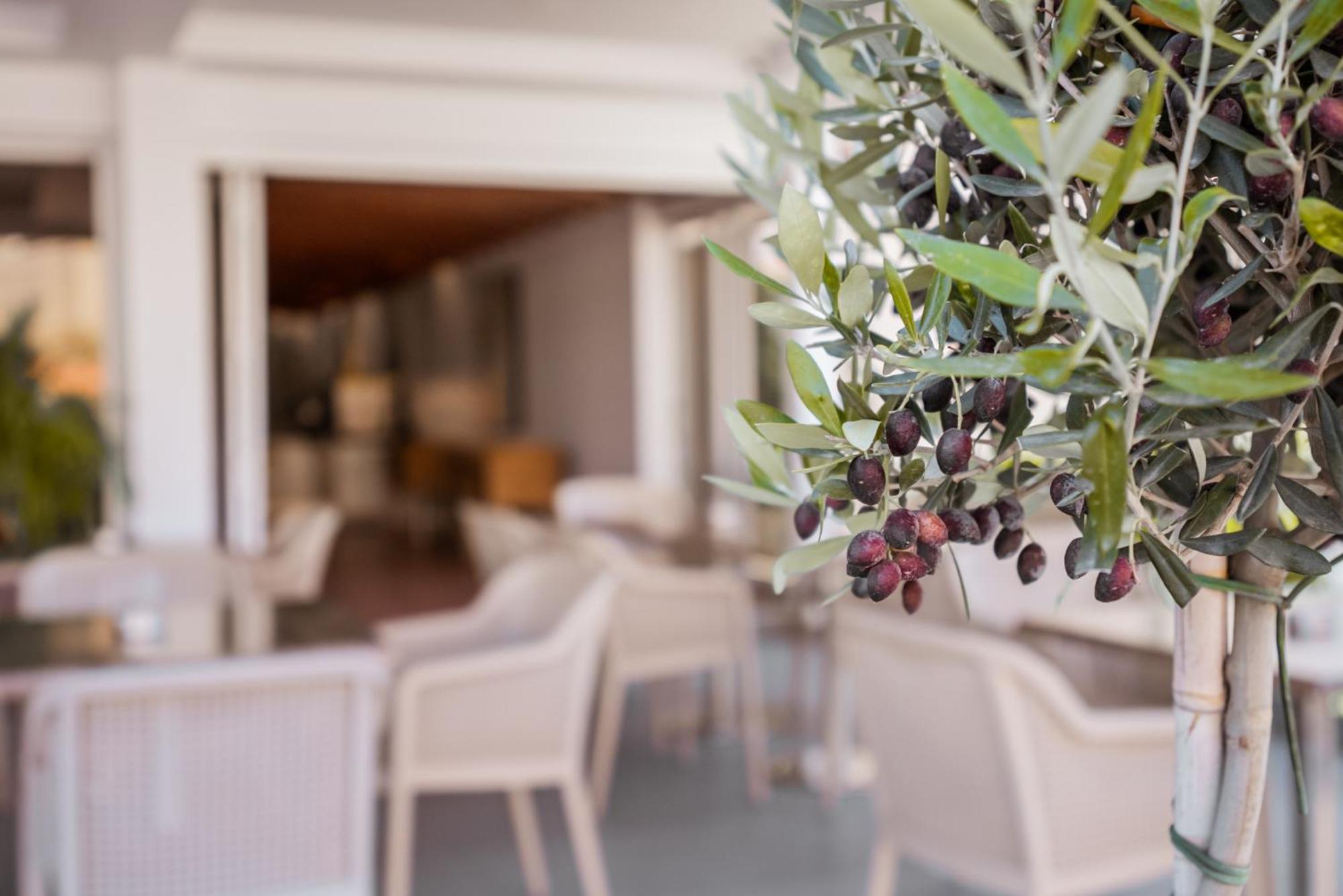 Paul Marie Hotel Apartments Ajía Nápa Kültér fotó